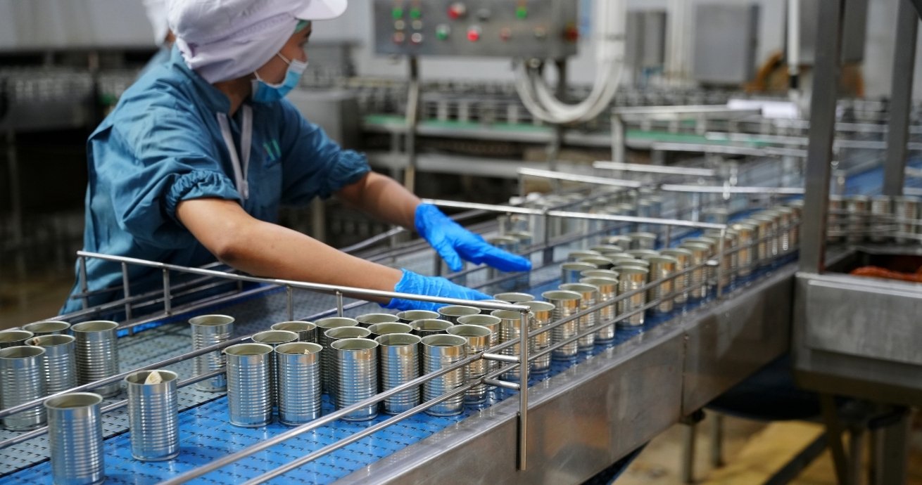 GMP - Good Manufacturing Practices